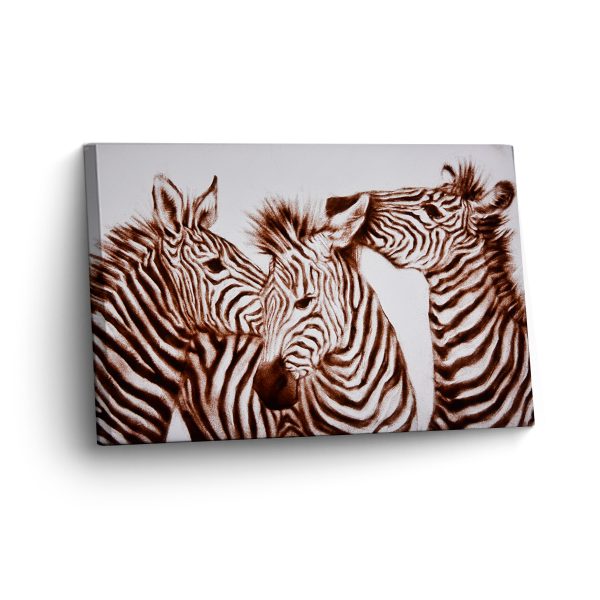 Zebras